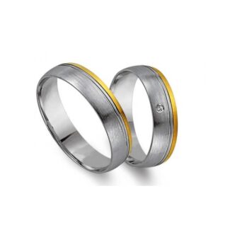 Juwelier Haan Cilor Kollektion Gold Trauringe -1489